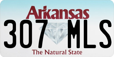 AR license plate 307MLS
