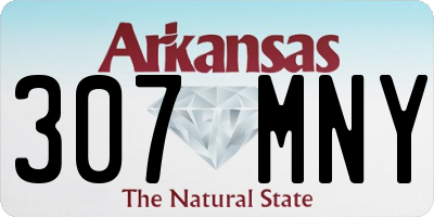 AR license plate 307MNY