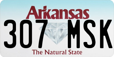 AR license plate 307MSK