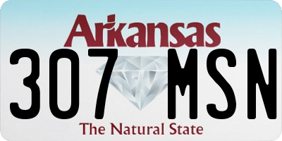 AR license plate 307MSN
