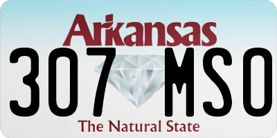 AR license plate 307MSO