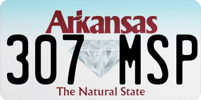 AR license plate 307MSP