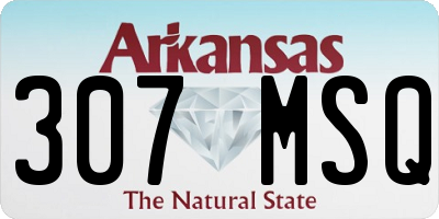 AR license plate 307MSQ