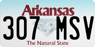 AR license plate 307MSV