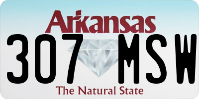 AR license plate 307MSW