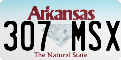 AR license plate 307MSX