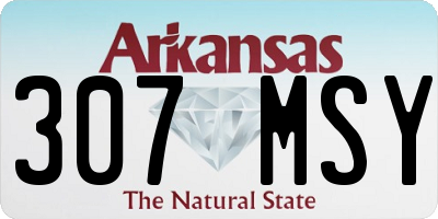 AR license plate 307MSY