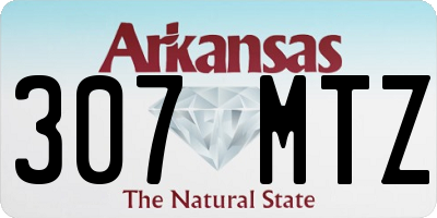 AR license plate 307MTZ