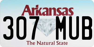 AR license plate 307MUB