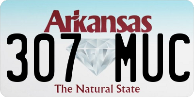 AR license plate 307MUC