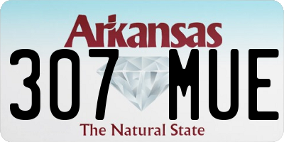 AR license plate 307MUE