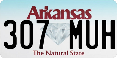 AR license plate 307MUH