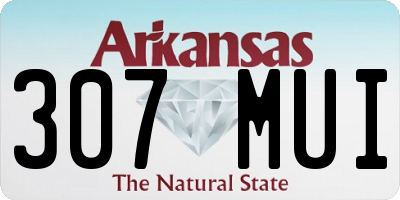 AR license plate 307MUI