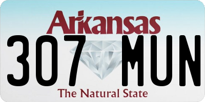 AR license plate 307MUN