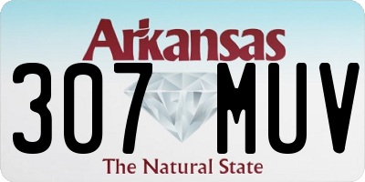 AR license plate 307MUV