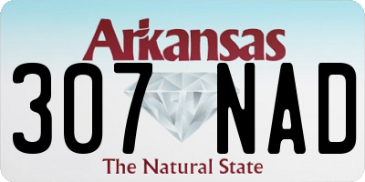 AR license plate 307NAD