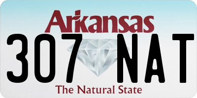 AR license plate 307NAT