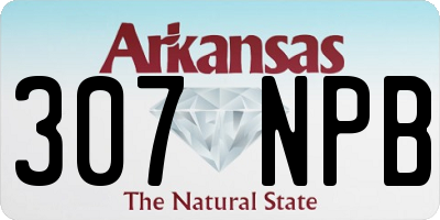 AR license plate 307NPB
