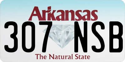 AR license plate 307NSB
