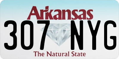 AR license plate 307NYG
