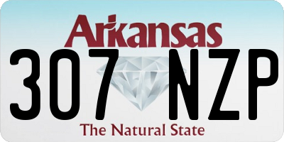 AR license plate 307NZP