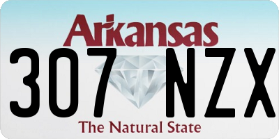 AR license plate 307NZX