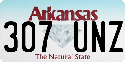 AR license plate 307UNZ