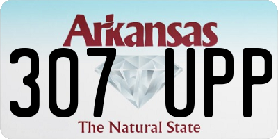 AR license plate 307UPP