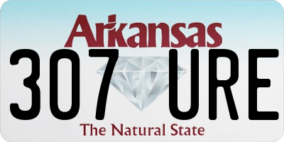 AR license plate 307URE