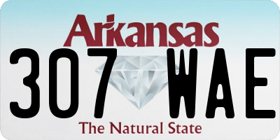 AR license plate 307WAE