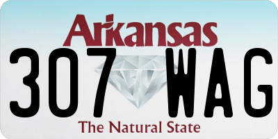 AR license plate 307WAG