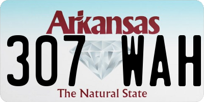 AR license plate 307WAH
