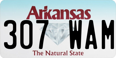 AR license plate 307WAM