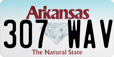 AR license plate 307WAV
