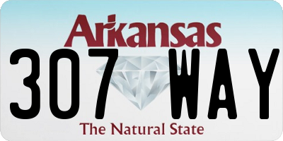 AR license plate 307WAY