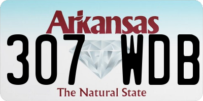 AR license plate 307WDB