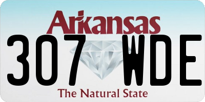 AR license plate 307WDE