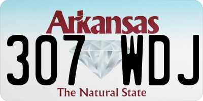 AR license plate 307WDJ
