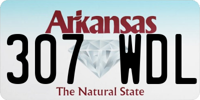 AR license plate 307WDL