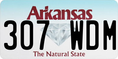AR license plate 307WDM