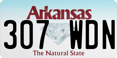 AR license plate 307WDN