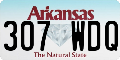 AR license plate 307WDQ