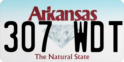 AR license plate 307WDT