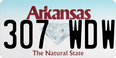 AR license plate 307WDW