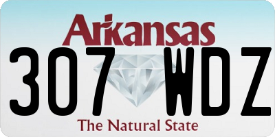 AR license plate 307WDZ