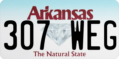 AR license plate 307WEG