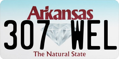AR license plate 307WEL
