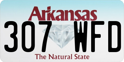 AR license plate 307WFD