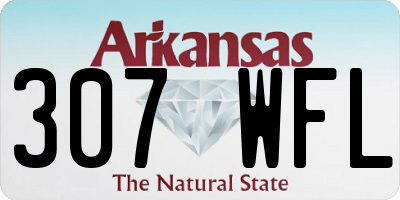 AR license plate 307WFL