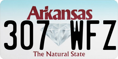 AR license plate 307WFZ